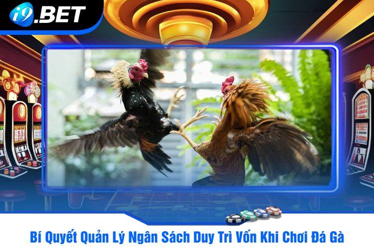 Bí Quyết Quản Lý Ngân Sách Duy Trì Vốn Khi Chơi Đá Gà