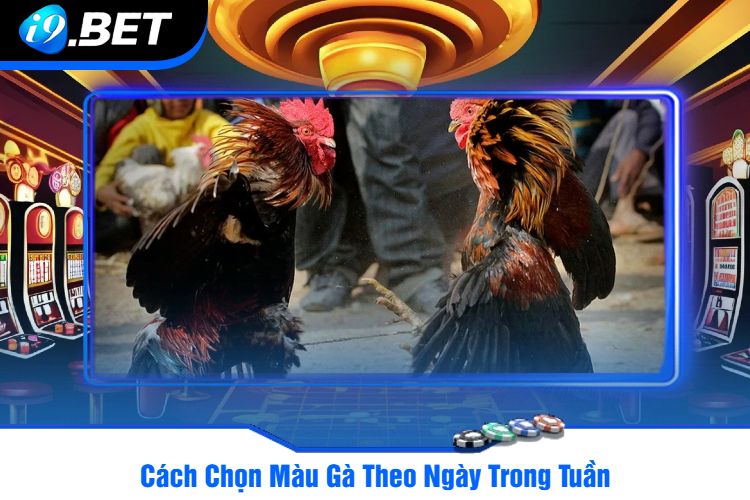 Cách Chọn Màu Gà Theo Ngày Trong Tuần