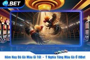 Hôm Nay Đá Gà Màu Gì Tốt  -  Ý Nghĩa Từng Màu Gà Ở i9Bet