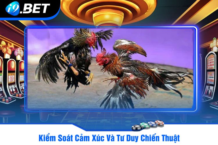 Kiểm Soát Cảm Xúc Và Tư Duy Chiến Thuật