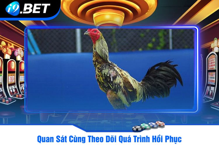 Quan Sát Cùng Theo Dõi Quá Trình Hồi Phục