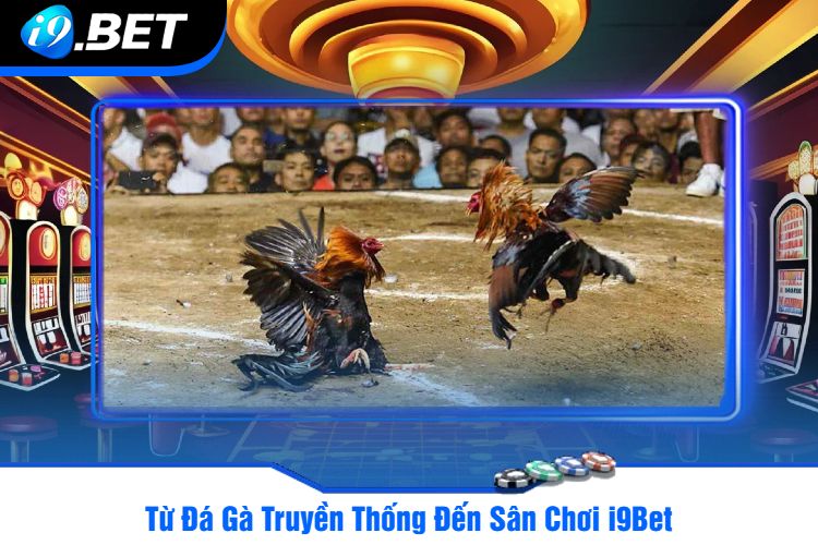 Từ Đá Gà Truyền Thống Đến Sân Chơi i9Bet